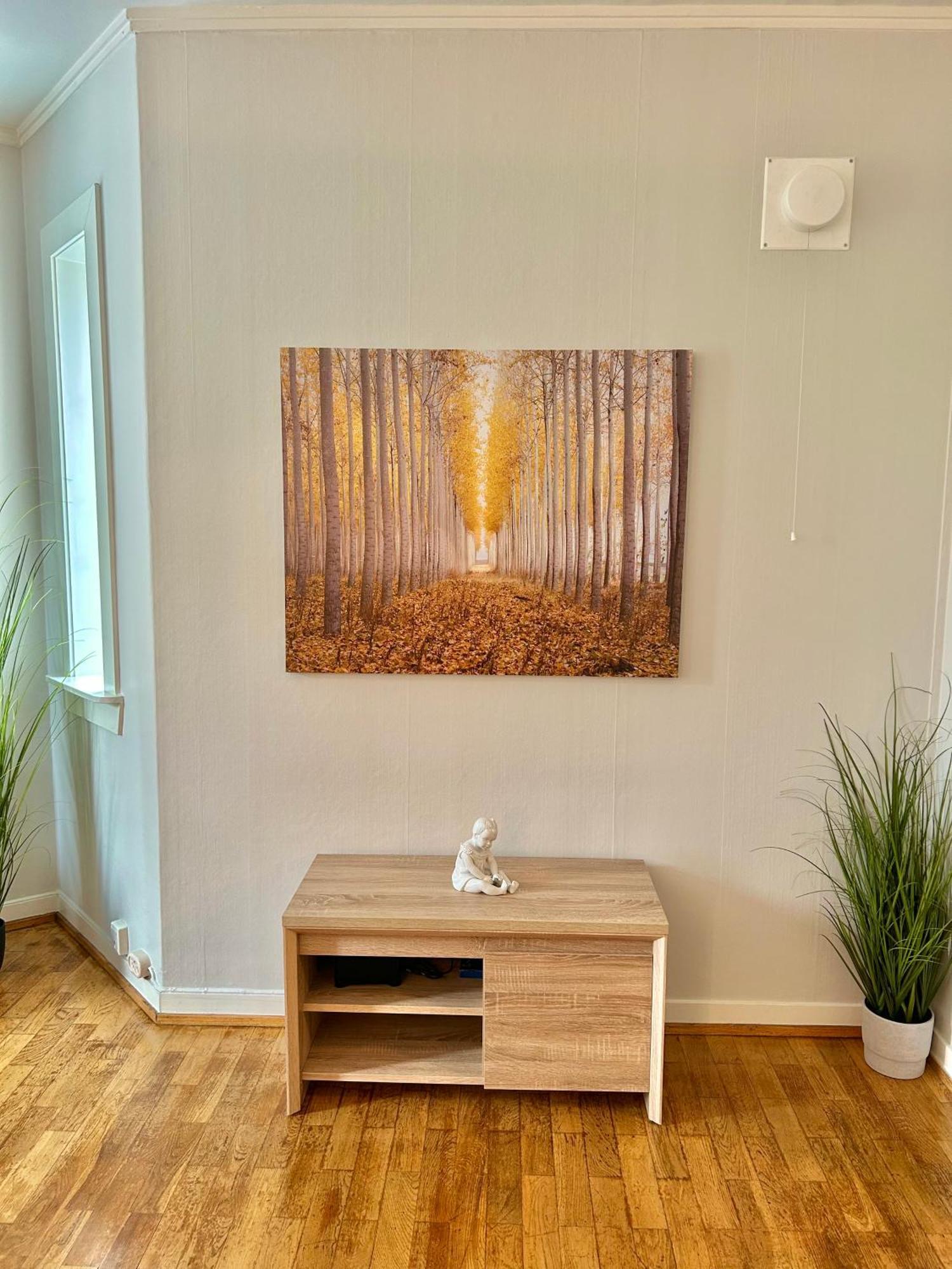 Gjestehuset Borggata 18 Fredrikstad Bagian luar foto